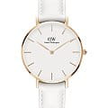 Часы Daniel Wellington Petite Bondi DW00100189